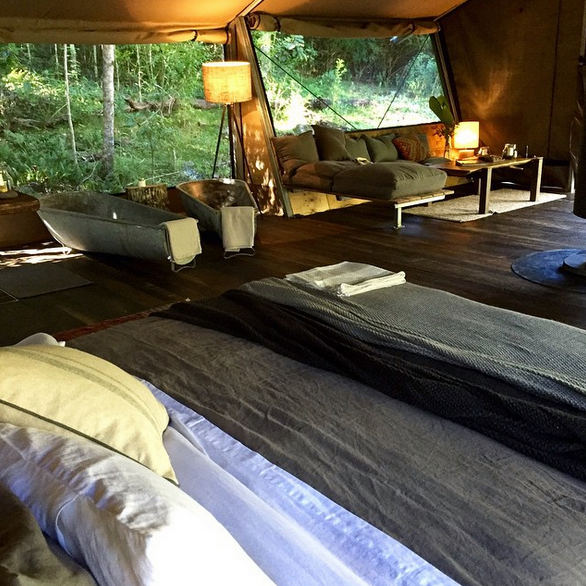 Nightfall glamping luxury camping lamington national park queensland